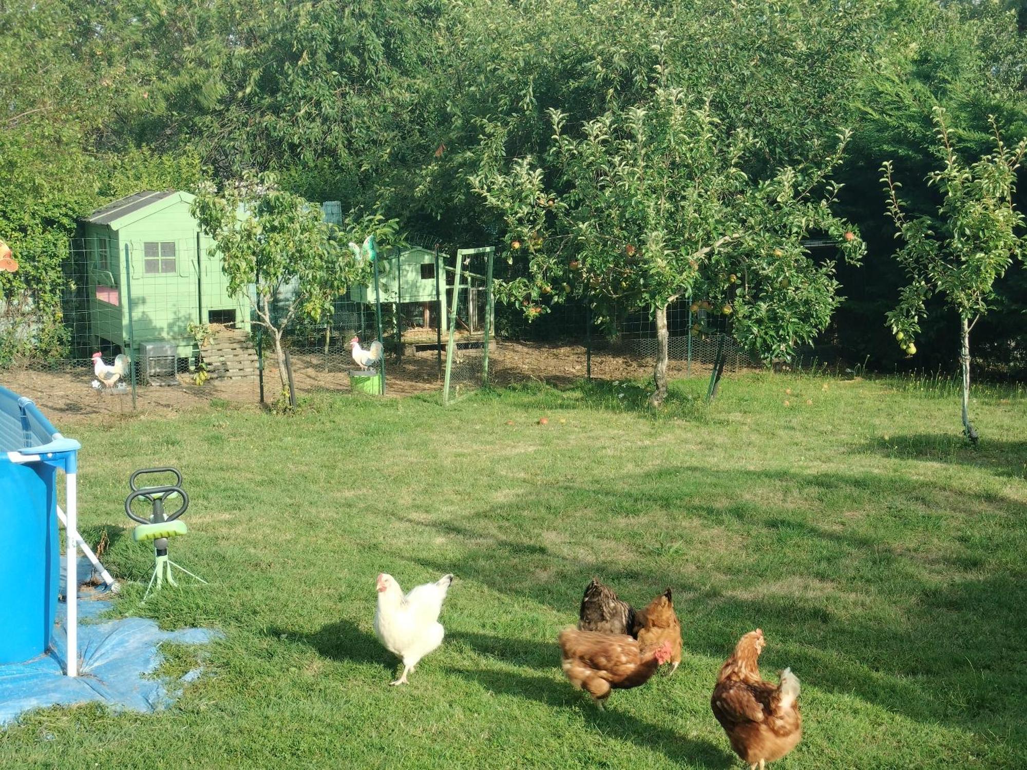 Un Studio Avec Une Entree Independante Thilouze Extérieur photo
